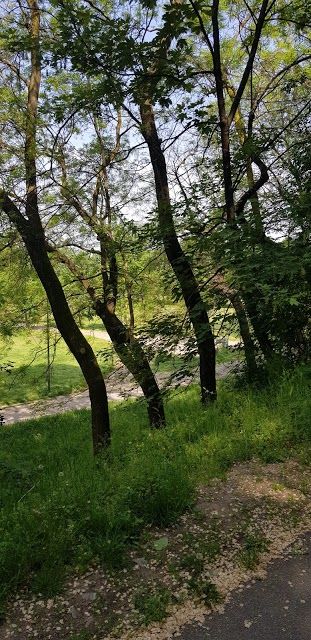 モンテ・ステラ